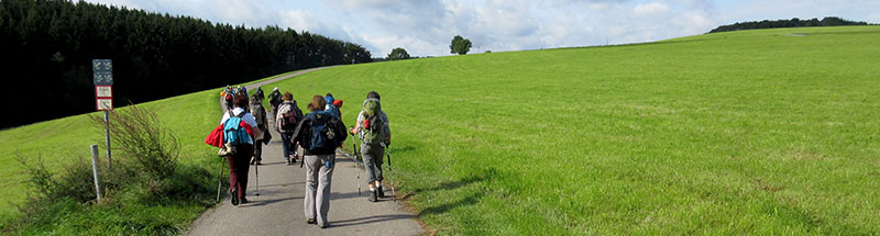 Pilgergrüppchen auf dem Weg durch eine grüne Wiesenlandschaft